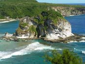 Bird Island